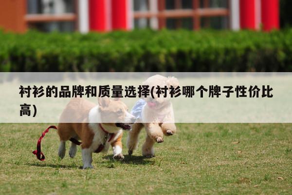 衬衫的品牌和质量选择(衬衫哪个牌子性价比高)