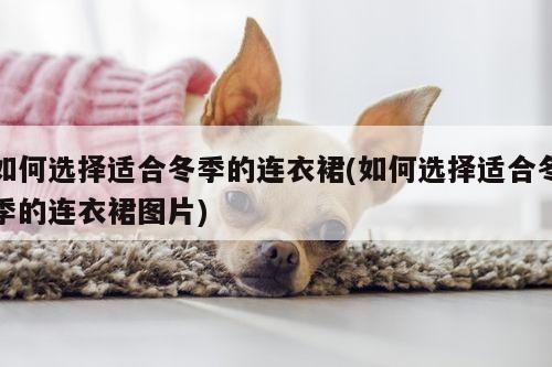 如何选择适合冬季的连衣裙(如何选择适合冬季的连衣裙图片)