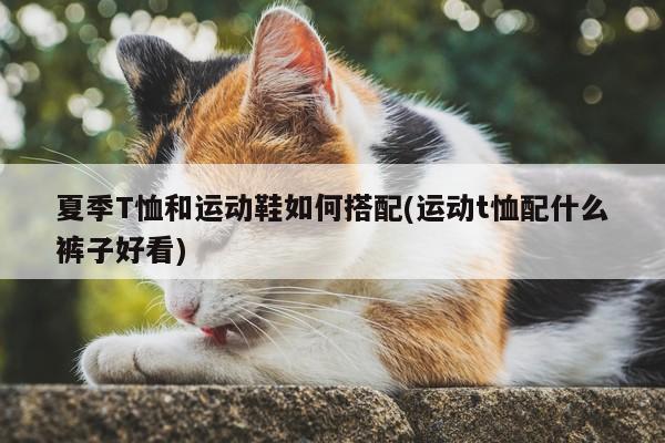 夏季T恤和运动鞋如何搭配(运动t恤配什么裤子好看)
