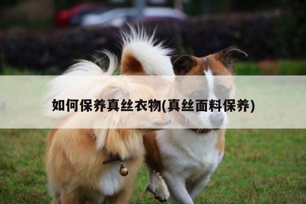 如何保养真丝衣物(真丝面料保养)