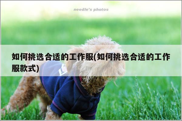 如何挑选合适的工作服(如何挑选合适的工作服款式)