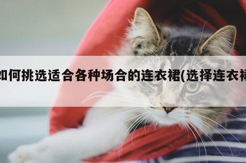 如何挑选适合各种场合的连衣裙(选择连衣裙)