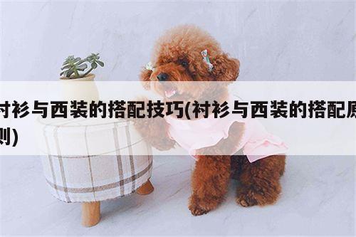 衬衫与西装的搭配技巧(衬衫与西装的搭配原则)