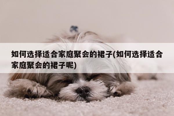 如何选择适合家庭聚会的裙子(如何选择适合家庭聚会的裙子呢)