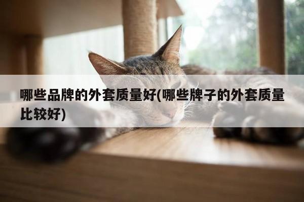 哪些品牌的外套质量好(哪些牌子的外套质量比较好)