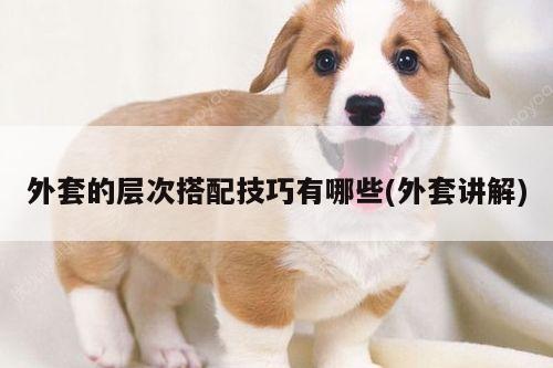 外套的层次搭配技巧有哪些(外套讲解)