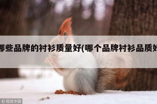 哪些品牌的衬衫质量好(哪个品牌衬衫品质好)