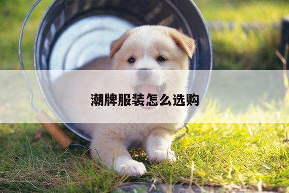 潮牌服装怎么选购