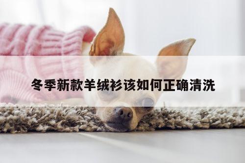 冬季新款羊绒衫该如何正确清洗