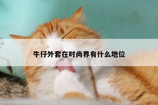 牛仔外套在时尚界有什么地位