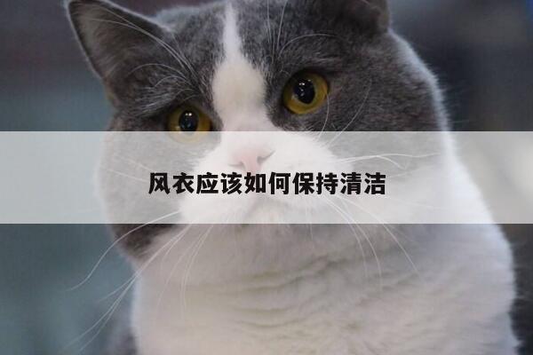 风衣应该如何保持清洁