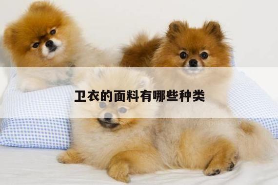 卫衣的面料有哪些种类