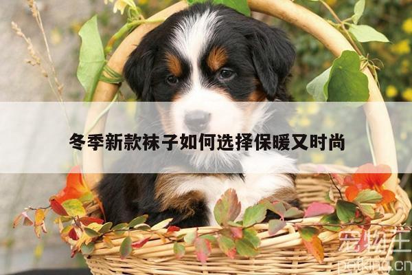 冬季新款袜子如何选择保暖又时尚