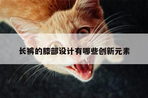 长裤的膝部设计有哪些创新元素