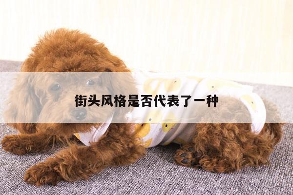 街头风格是否代表了一种