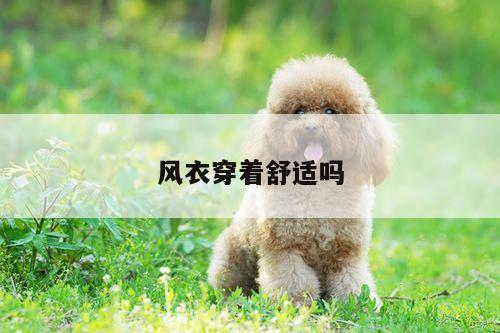 风衣穿着舒适吗