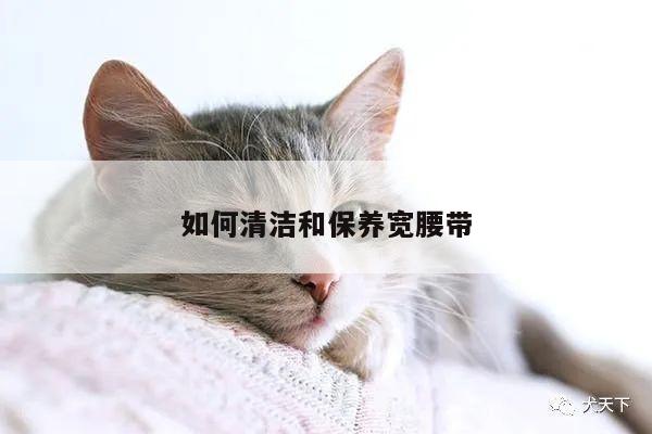 如何清洁和保养宽腰带