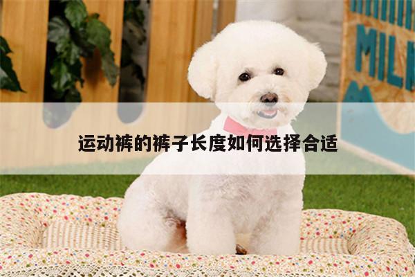 运动裤的裤子长度如何选择合适