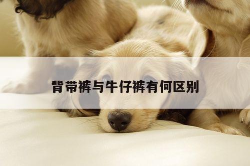 背带裤与牛仔裤有何区别