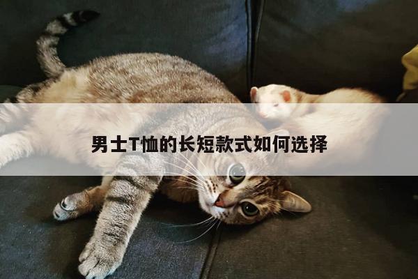 男士T恤的长短款式如何选择