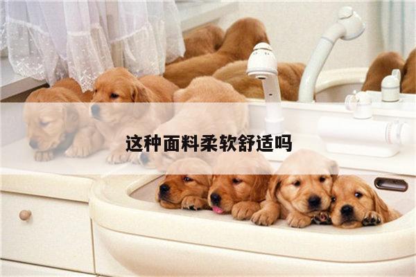 这种面料柔软舒适吗