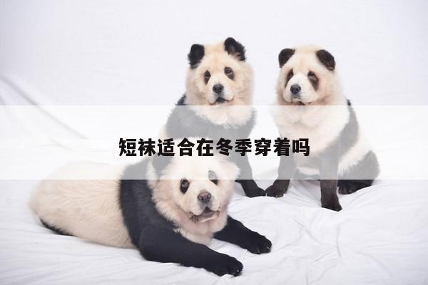 短袜适合在冬季穿着吗