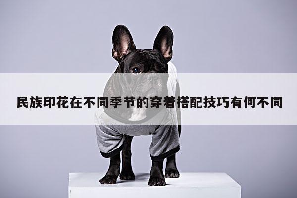 民族印花在不同季节的穿着搭配技巧有何不同