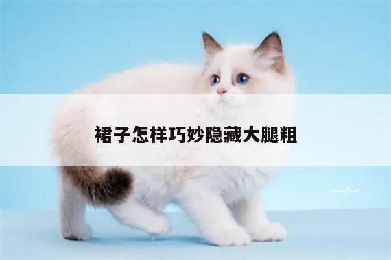 裙子怎样巧妙隐藏大腿粗