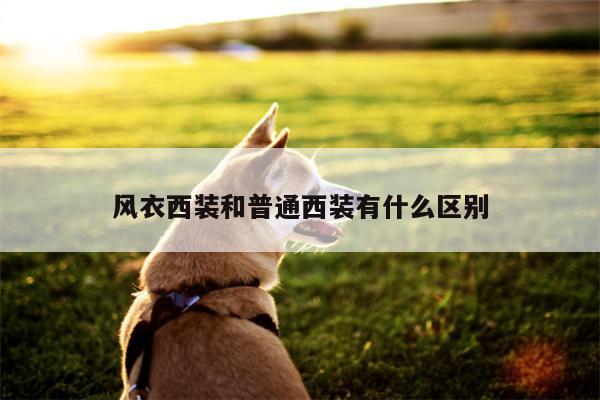 风衣西装和普通西装有什么区别
