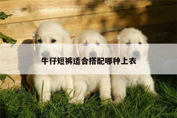 牛仔短裤适合搭配哪种上衣