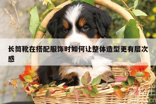 长筒靴在搭配服饰时如何让整体造型更有层次感