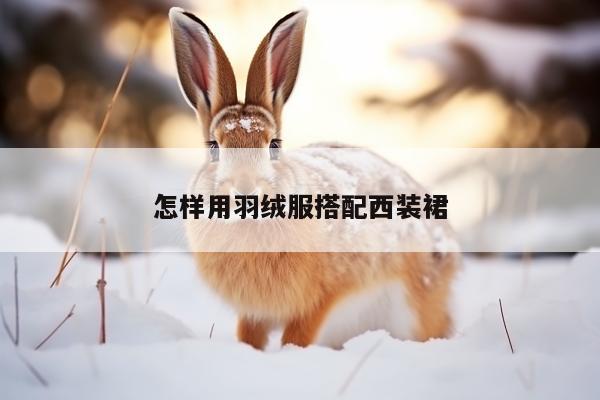 怎样用羽绒服搭配西装裙