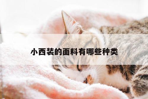 小西装的面料有哪些种类