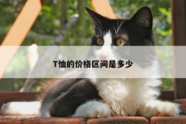 T恤的价格区间是多少