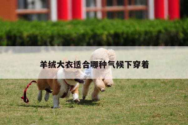 羊绒大衣适合哪种气候下穿着