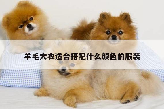 羊毛大衣适合搭配什么颜色的服装