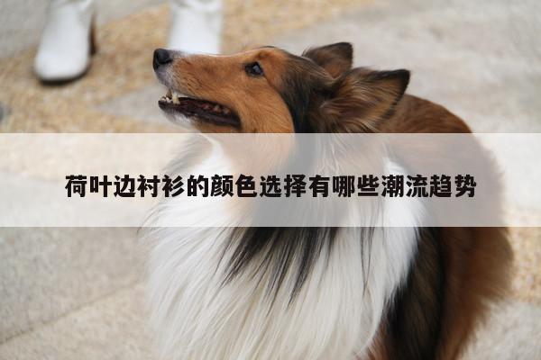 荷叶边衬衫的颜色选择有哪些潮流趋势