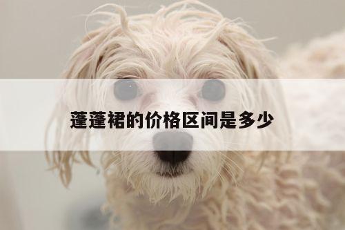 蓬蓬裙的价格区间是多少