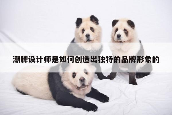 潮牌设计师是如何创造出独特的品牌形象的