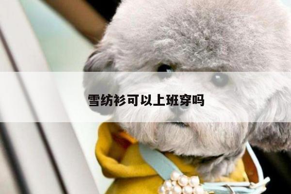 雪纺衫可以上班穿吗