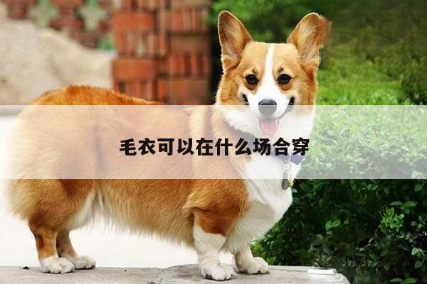 毛衣可以在什么场合穿