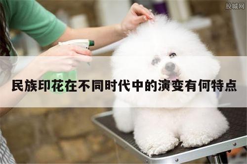 民族印花在不同时代中的演变有何特点