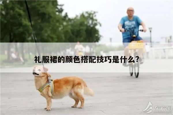 礼服裙的颜色搭配技巧是什么?