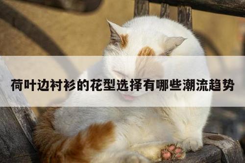 荷叶边衬衫的花型选择有哪些潮流趋势