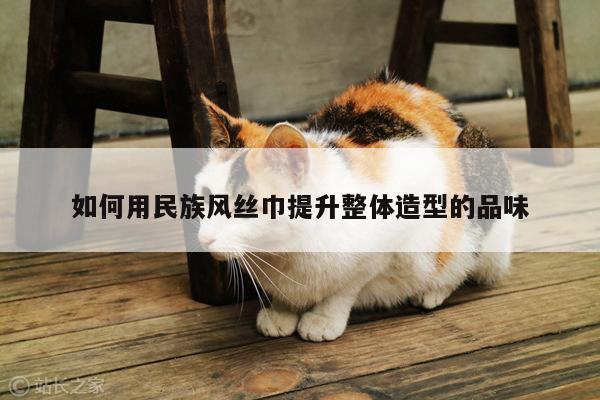 如何用民族风丝巾提升整体造型的品味