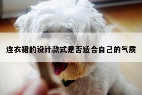 连衣裙的设计款式是否适合自己的气质