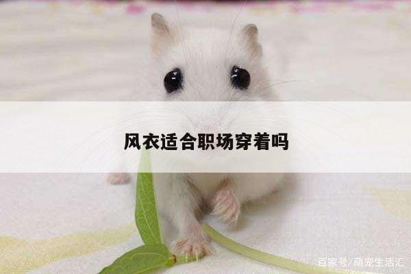 风衣适合职场穿着吗
