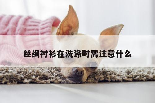 丝绸衬衫在洗涤时需注意什么