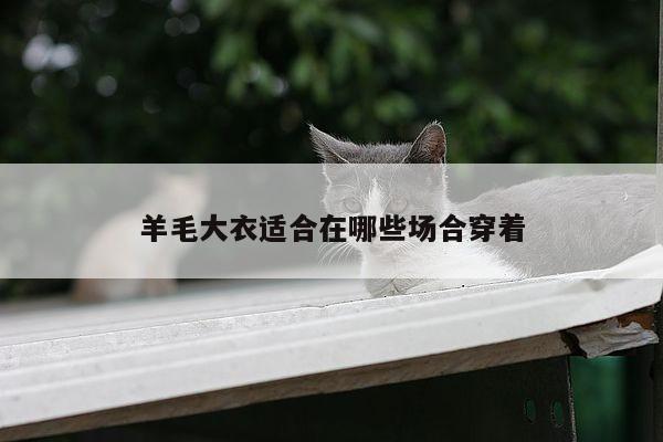 羊毛大衣适合在哪些场合穿着