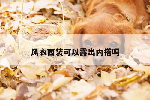 风衣西装可以露出内搭吗